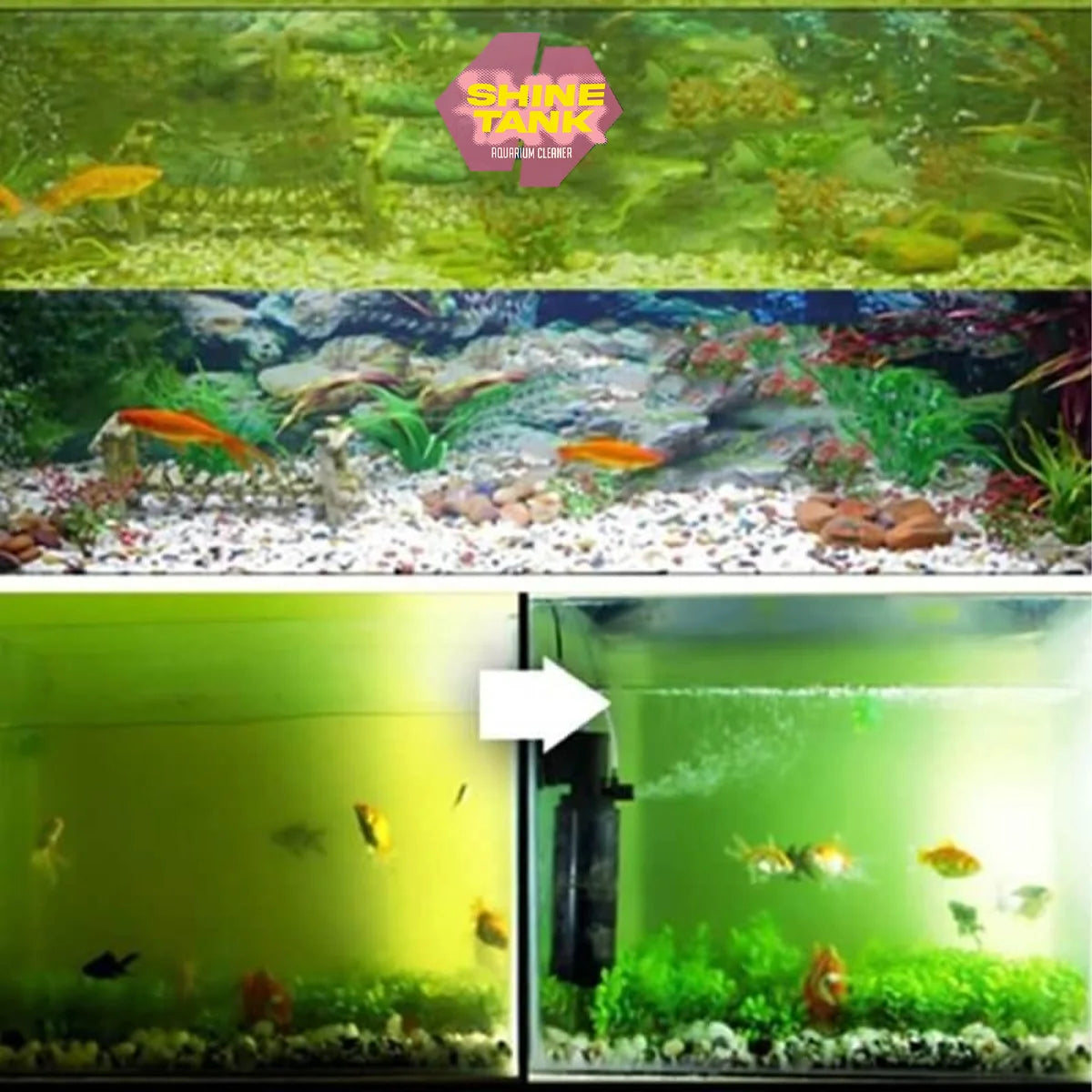 Aquarium cleaner ShineTank
