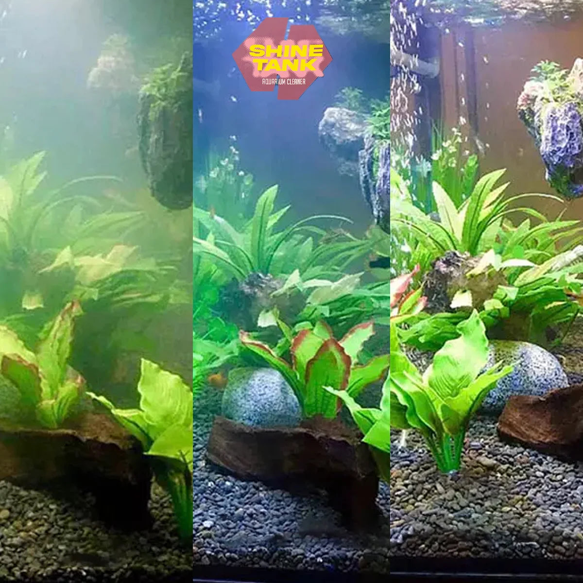 Aquarium cleaner ShineTank