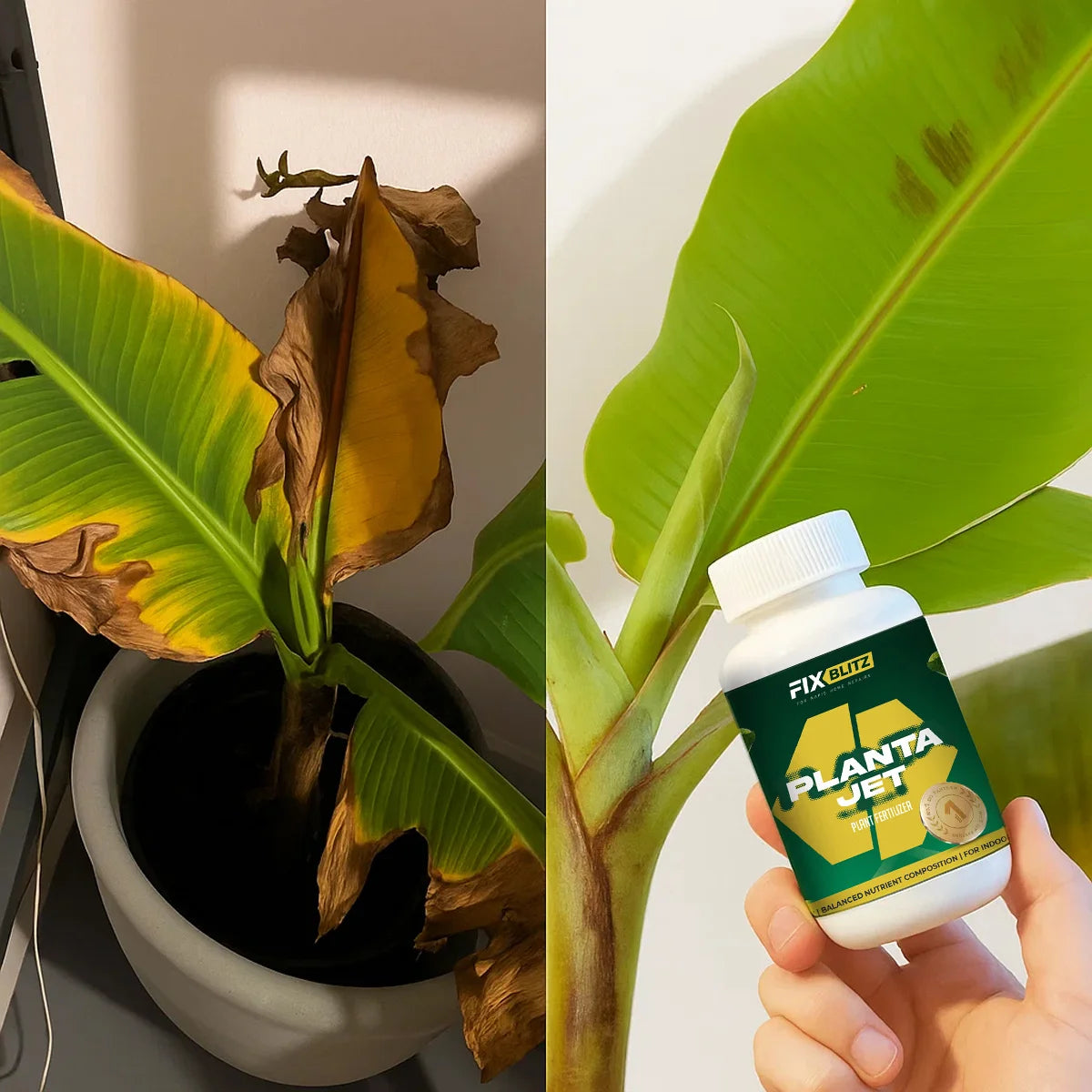 Plant Fertilizer PlantaJet