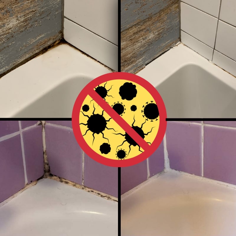 Mold Prevention Spray MoldFix