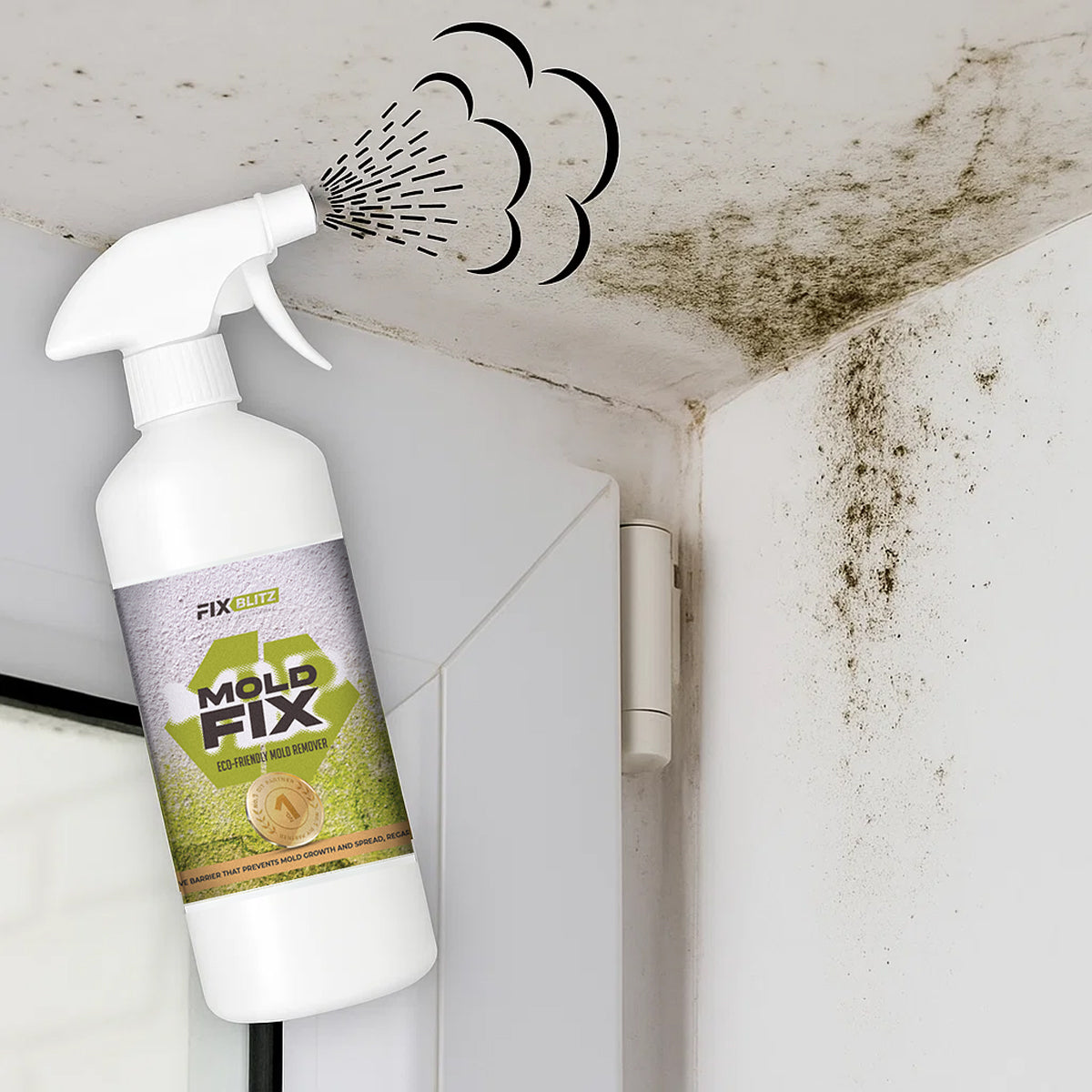 Mold Prevention Spray MoldFix
