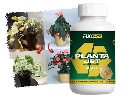 Plant Fertilizer PlantaJet